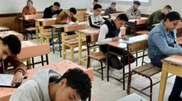 بنسبة 81.6%.. محافظة القليوبية تعتمد نتائج الشهادة الإعدادية وترتيب الإدارات التعليمية